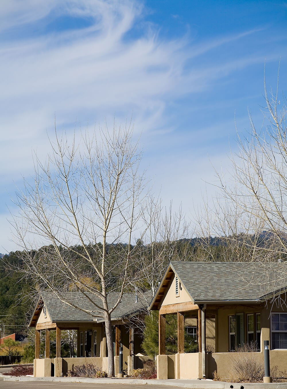 Two timber-framed cottages with the pine forest rising directly behind them at La Tierra, Ruidoso NM